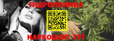 хмурый Обь