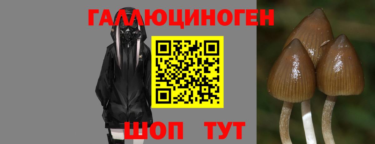 Копейск  Галлюциногенные грибы мицелий  купить наркотик  Вход с VPN 